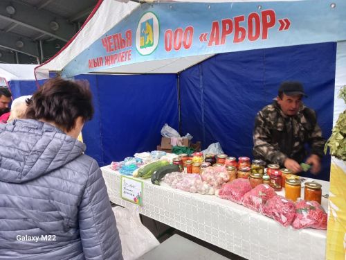Бүген Казанда ярминкә