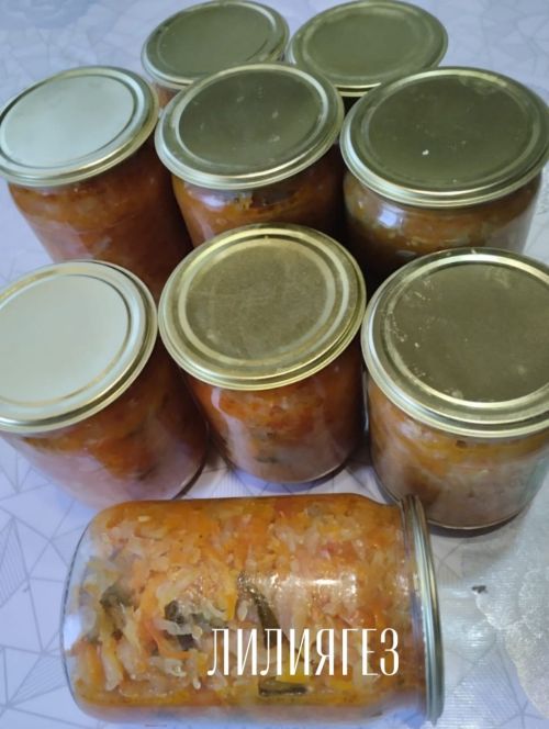 Лилия Әскаровадан солянка рецепты