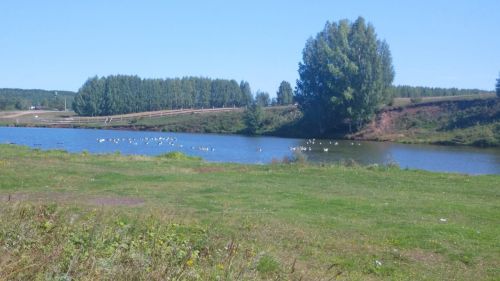 Арбор сулыгы елның өч төрле фасылында