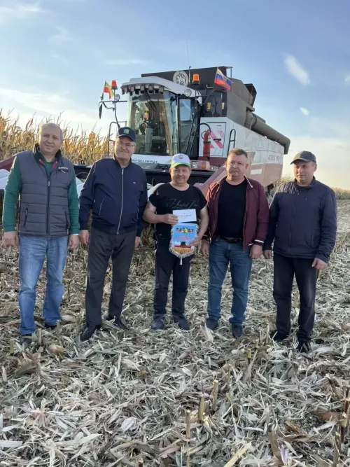 Балтачта кукурузны бөртеккә сугуда нәтиҗәле эшләүчеләргә өченче атна вымпелларын тапшырдылар