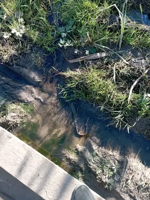Норма белән Балтач арасындагы тротуар яңартылачакмы