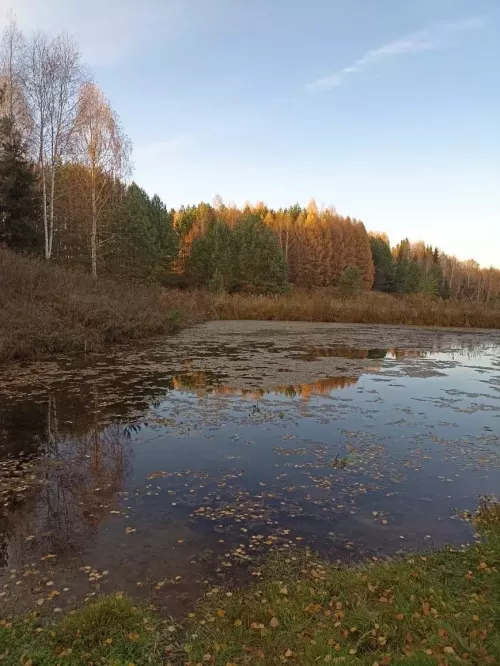 Ял көннәрендә +14 градуска кадәр көтелә