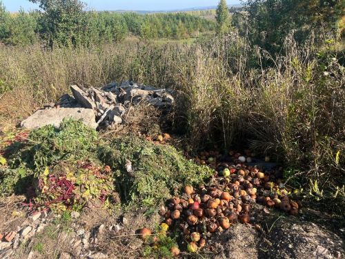 Районда рөхсәтсез чүплекләр артуы борчу тудыра