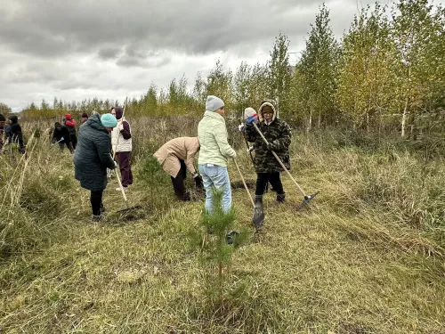 Балтачлылар бердәм булып көзге өмәгә чыкты