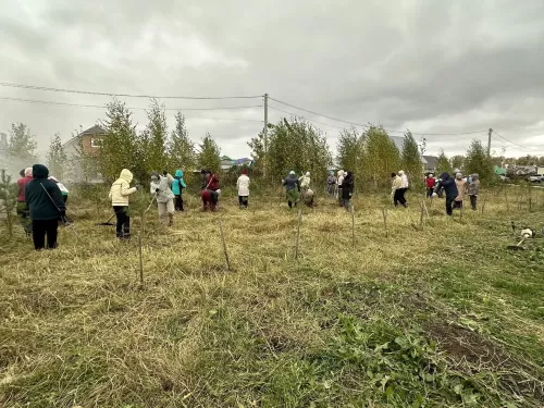 Балтачлылар бердәм булып көзге өмәгә чыкты