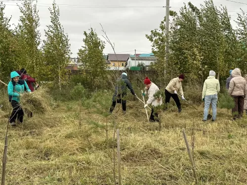 Балтачлылар бердәм булып көзге өмәгә чыкты