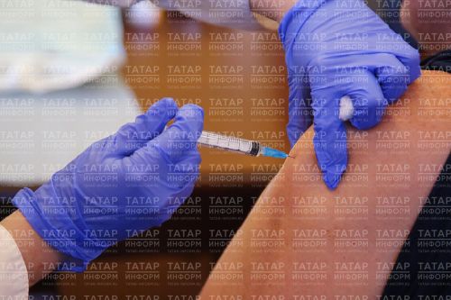 Республика табиблары дуңгыз гриппы штаммының таралуы турында кисәтә
