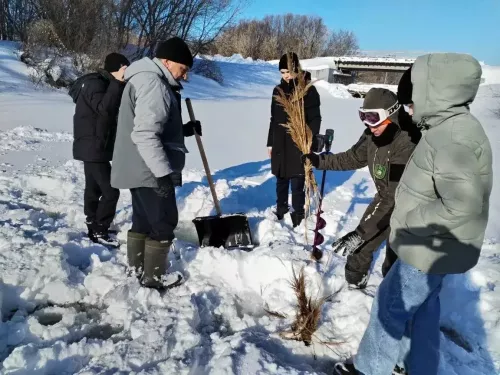 Кече Лызи укучылары балыкларга ярдәм кулы сузган