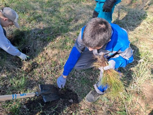 Арча аграр-сәнәгать һөнәр көллиятенең 2нче филиалы студентлары изге эштән читтә калмады