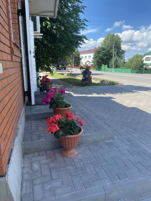 Балтачтагы матурлыкка кемнәр кул суза?