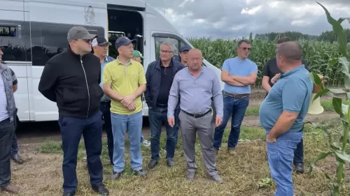Балтачта җитәкчеләр кырларга чыкты