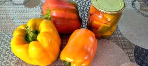 Ольга Плотниковадан маринадланган борыч рецепты