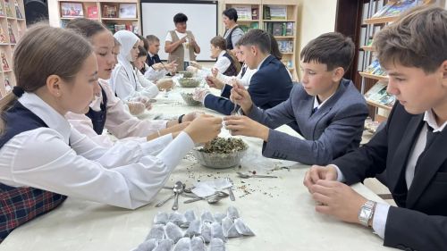 Балтач китапханәсе махсус хәрби операциядәге егетләргә гуманитар ярдәм тутыруны оештырды