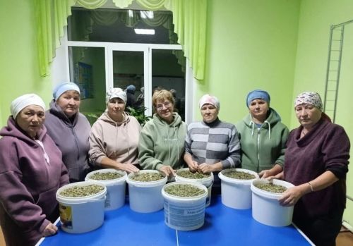 Нөнәгәр волонтерлары чәй тутырган, токмач кискән