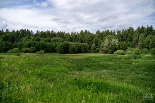 Республикада 1,1 мең гектардан артык авыл хуҗалыгы җирләре урман фондына күчереләчәк