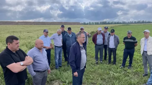 Рамил Нотфуллин хуҗалык җитәкчеләре белән иген кырларын карап чыкты
