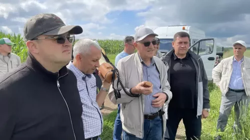 Рамил Нотфуллин хуҗалык җитәкчеләре белән иген кырларын карап чыкты