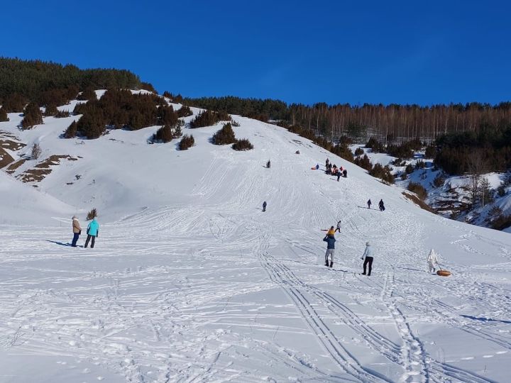 Бүген Арбор гөрләде (фото)