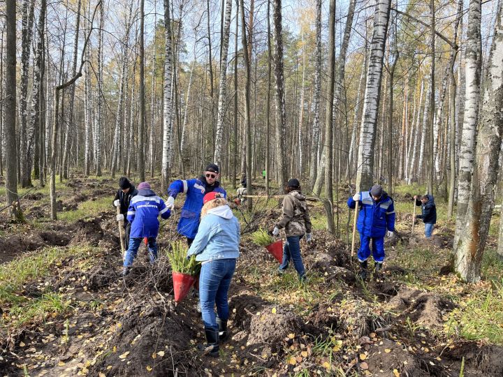 Работники АО «Транснефть — Прикамье» приняли участие воВсероссийской экологической акции