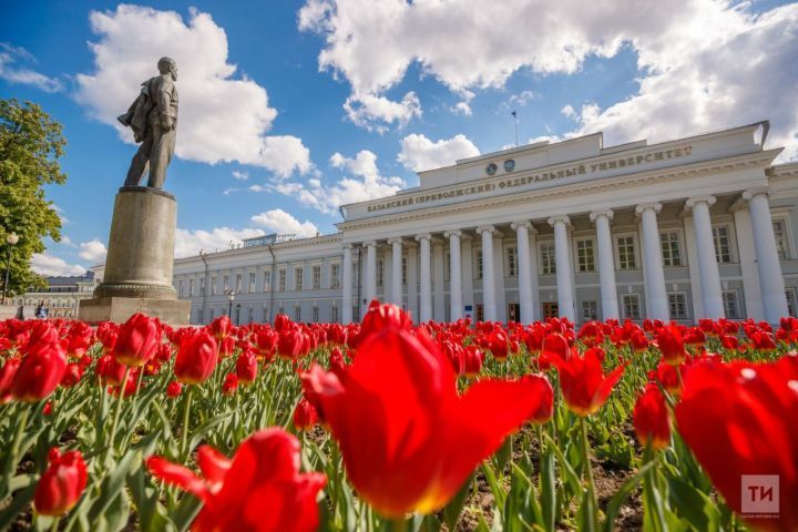 Югары уку йортларында бюджет урыннары артачак