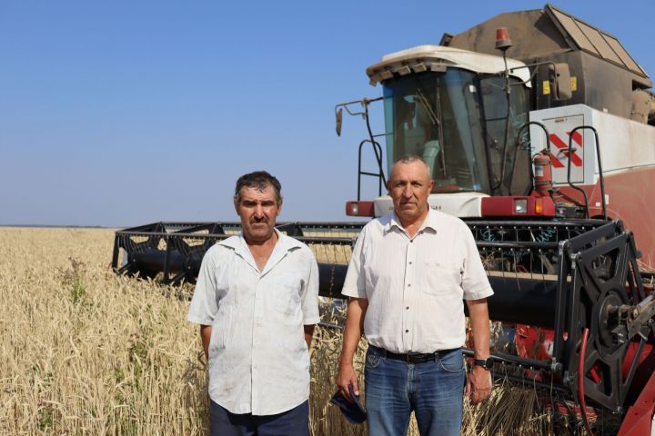 «Авылда калганыма бер тапкыр да үкенмәдем»
