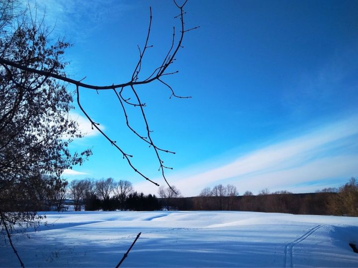 Февраль аена халык сынамышлары