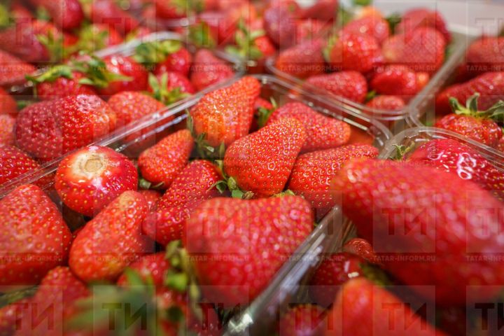 Җәй көне ризыклар бик тиз бозыла. Сак булыгыз!