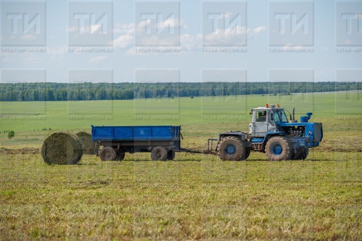 Трактор фрезасына эләгеп, биш яшьлек кыз фаҗигале төстә һәлак булган