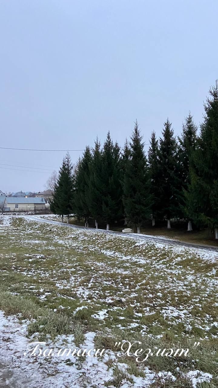 Татарстанда кыска вакытлы салкыннан соң җылыта?...