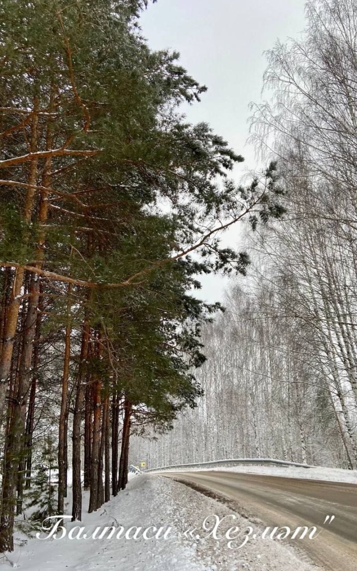 Авариядә җиңел машина йөртүчесе һәлак булган