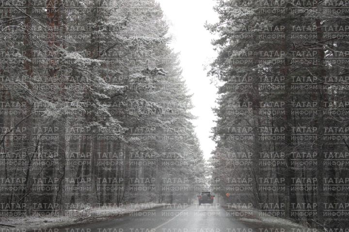 Исерек килеш рульгә утырган кешенең Mercedes машинасы тартып алынган