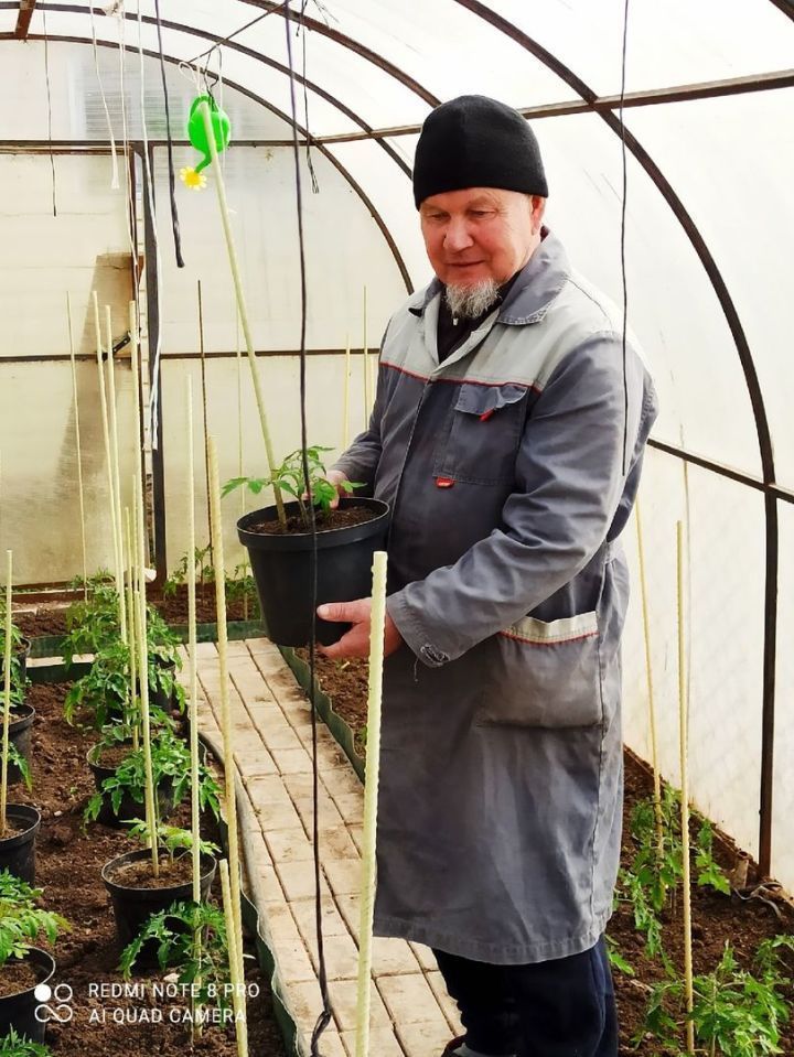 Җәлил хәзрәт Фазлыевтан бакчачыларга берничә киңәш