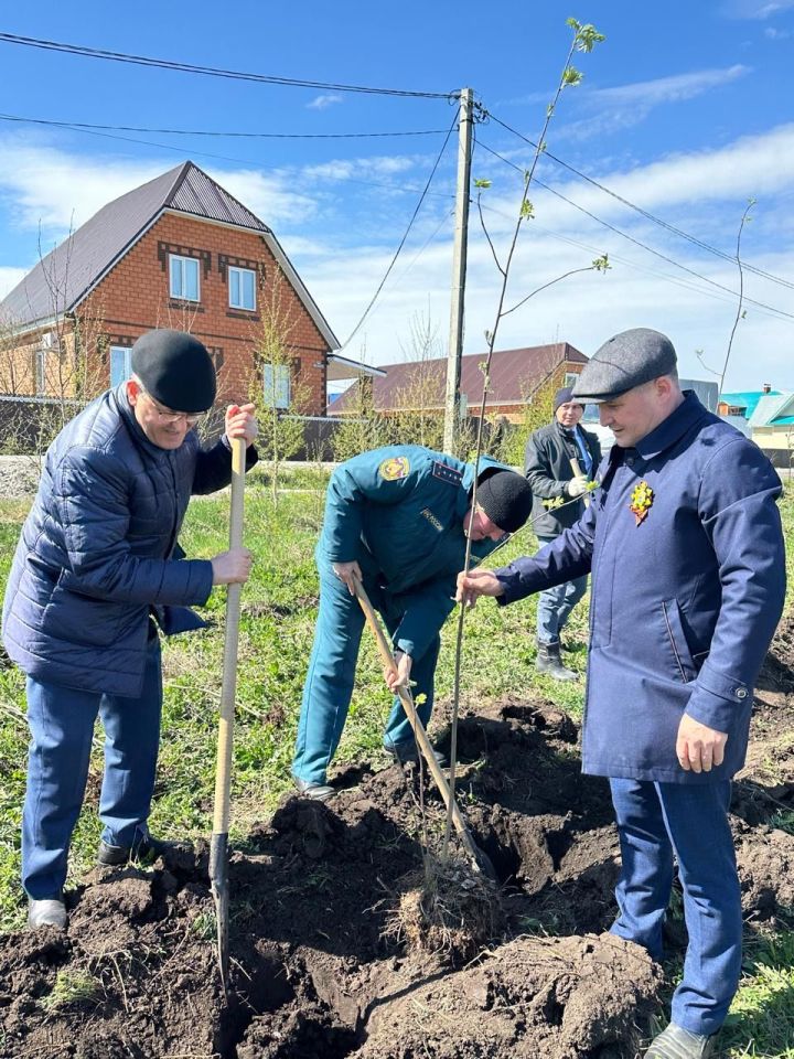 Бөек Җиңүнең 80 еллыгы уңаеннан Балтачта  җитәкчеләр агачлар утырттылар