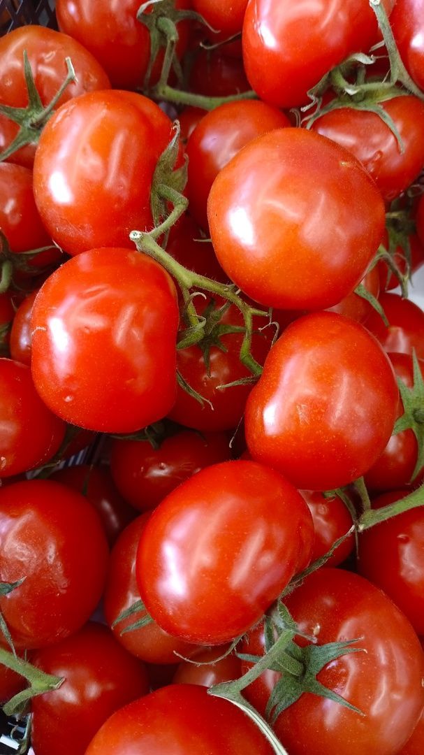 Томат согы эчәклек өчен файдалы