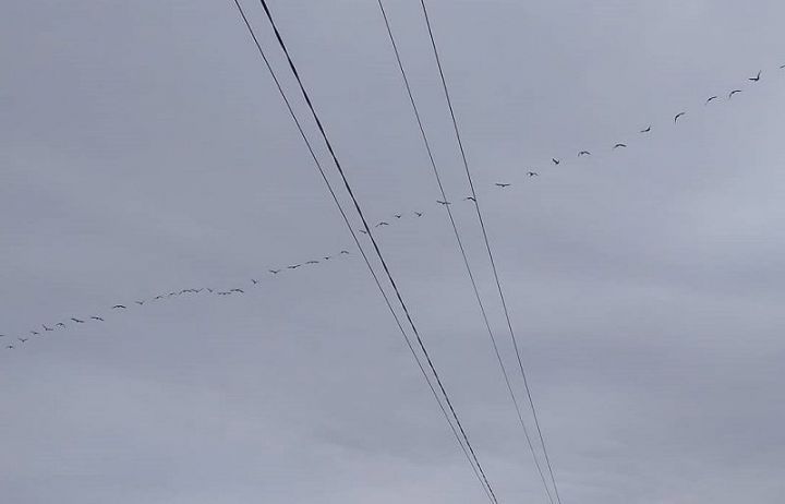 Иң зур һәм төзәтеп булмаслык югалтулар – әти-әниләрне мәңгелеккә озату