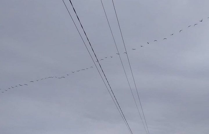 Якыныңны югалту бик авыр