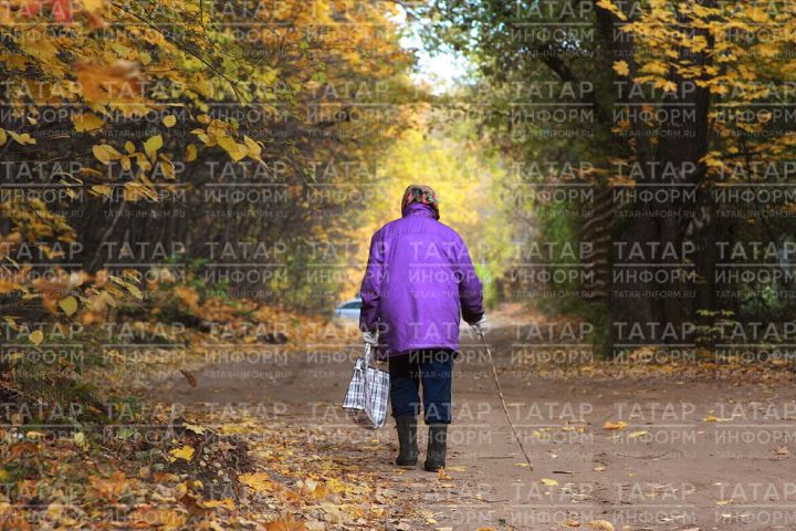 «Киленгә сүз әйтеп кара син, тетмәңне тетә. Улым да шундыйга әйләнде...»