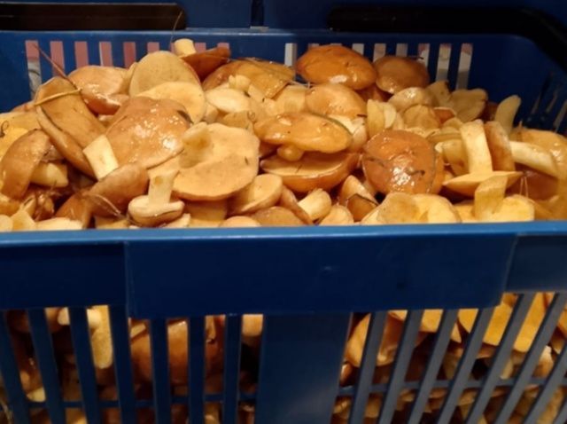 Лилия Әскаровадан маслята маринадлау рецепты