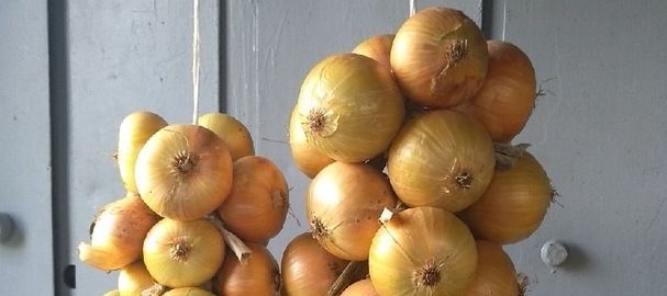 Суганны ничек озаграк сакларга?