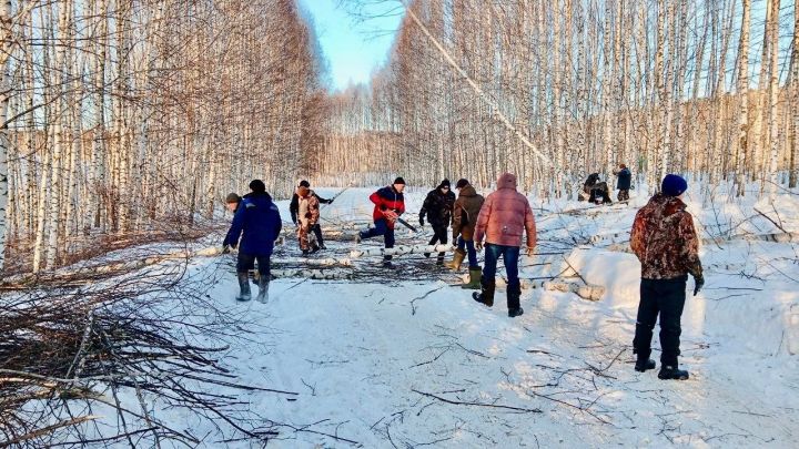 Балтач районы үзенең геройлары гаиләләренә утын белән булыша
