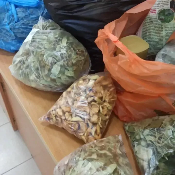 Аланда егетләр чәй әзерләр өчен киптерелгән үләннәр җыйганнар