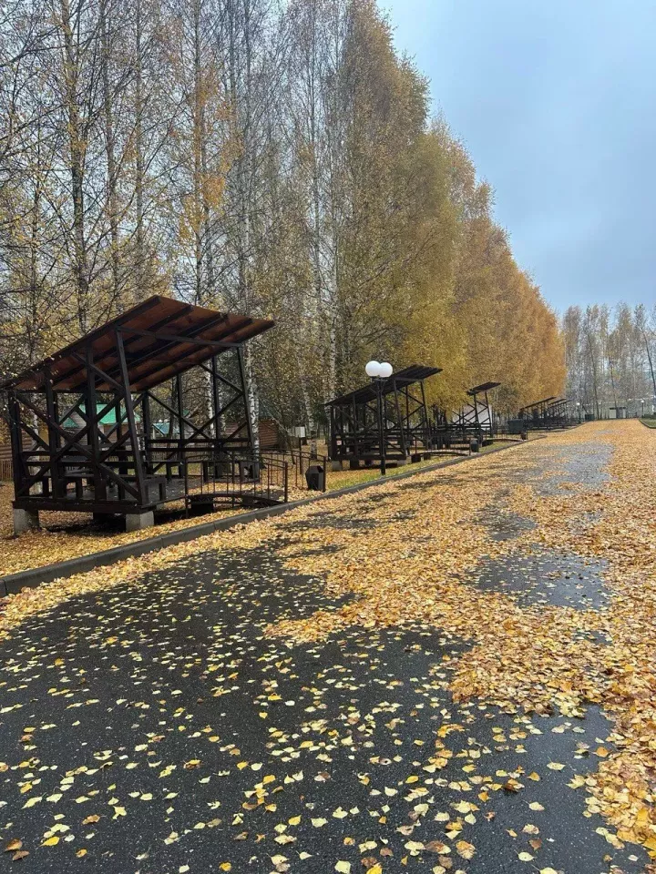27 октябрьдә +14 градуска кадәр җылы, явым-төшемсез булачак