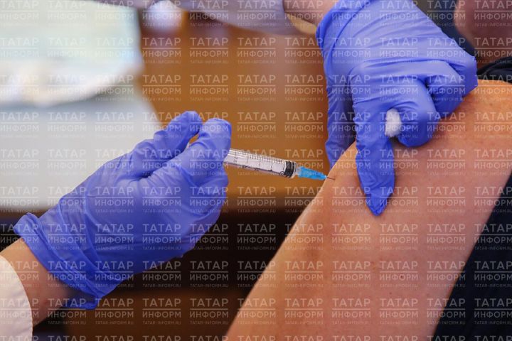 Республика табиблары дуңгыз гриппы штаммының таралуы турында кисәтә