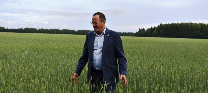 Октябрьнең икенче якшәмбесе – Авыл хуҗалыгы һәм эшкәртү сәнәгате хезмәткәрләре көне