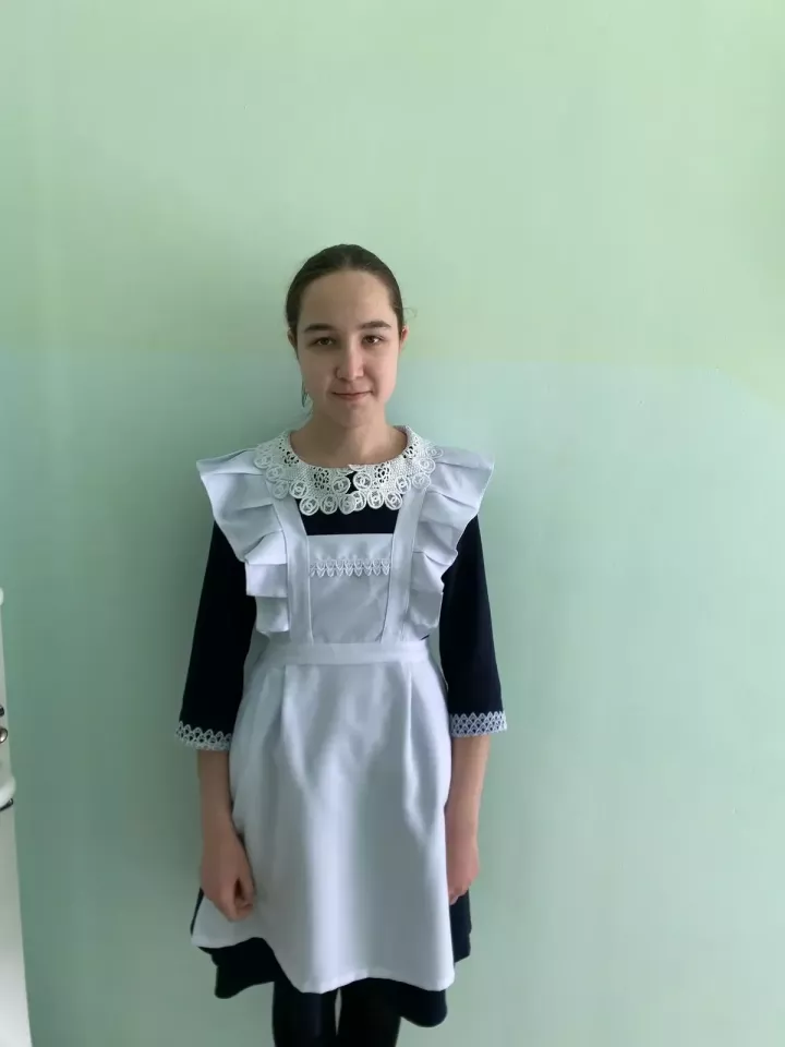 Балтач укучылары татар теленнән  республика олимпиадасының йомгаклау этабында җиңү яулады