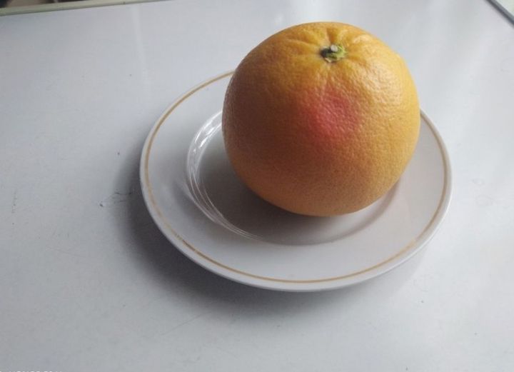 Грейпфрут ябыктыра