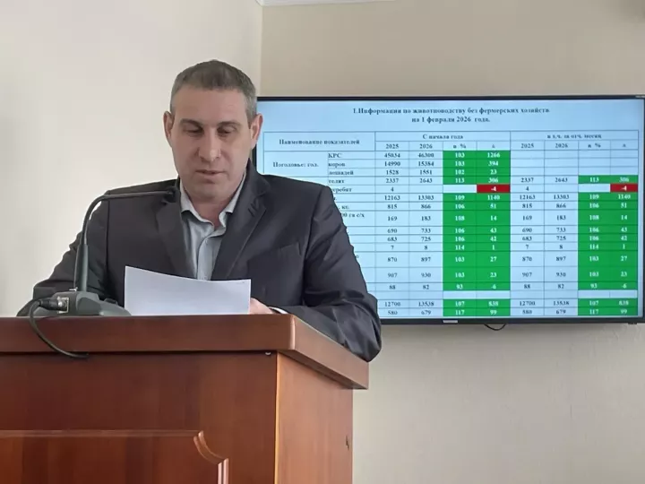 Балтачта терлекчелек эшләре буенча 2026 елның гыйнвар аена нәтиҗәләр ясадылар