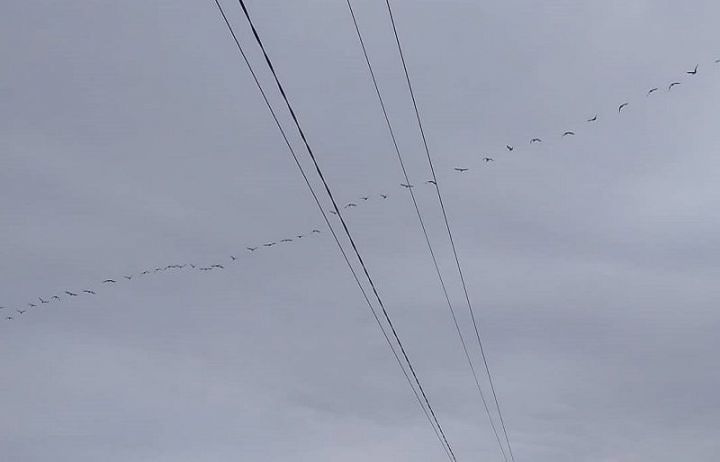 Февраль башында югалган хатын-кызны  үле килеш тапканнар