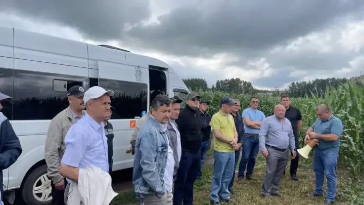 Балтачта җитәкчеләр кырларга чыкты