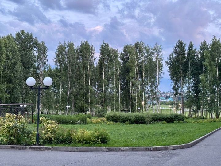 Матурлыкка омтылу